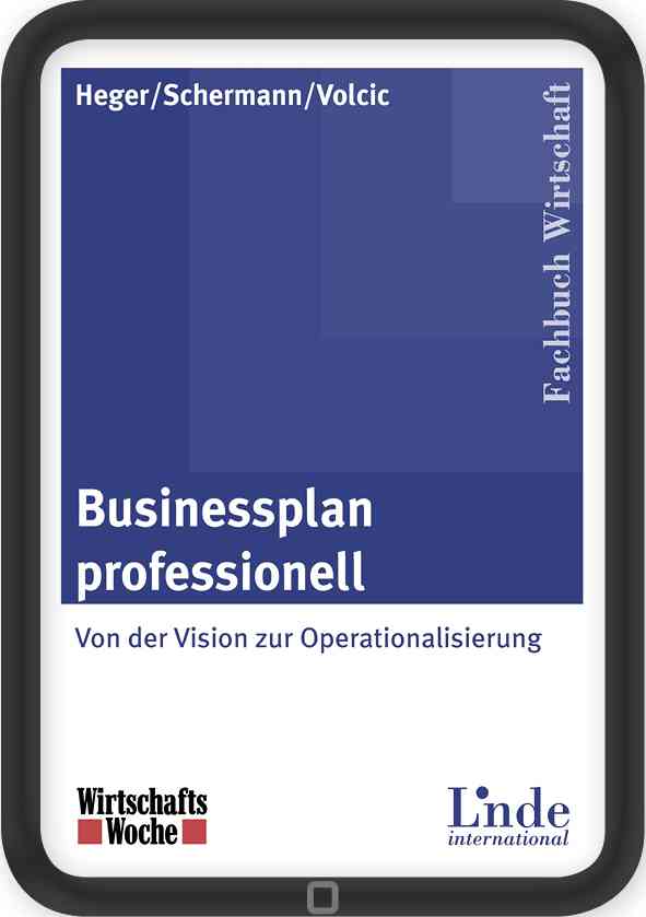Businessplan professionell