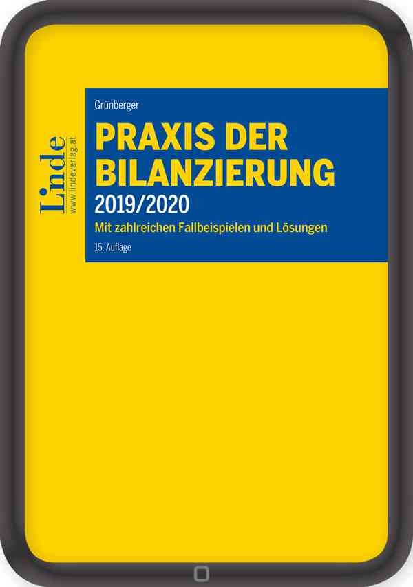 Praxis der Bilanzierung 2019/2020