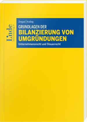 Grundlagen der Bilanzierung von Umgründungen