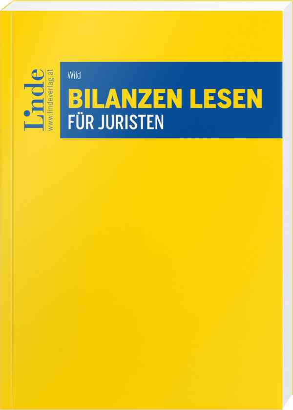 Bilanzen lesen für Juristen