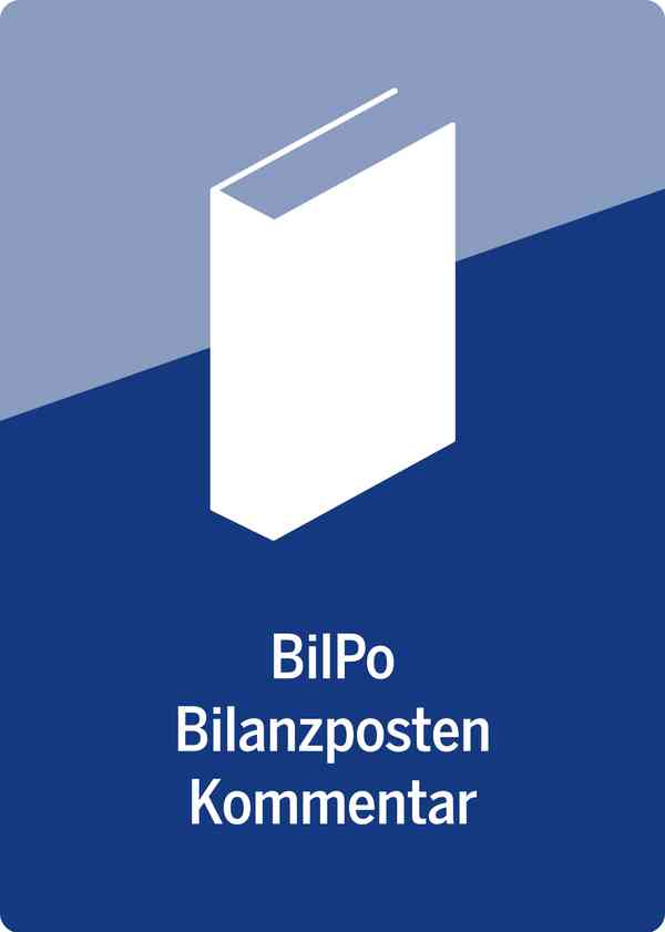 Bilanzposten-Kommentar