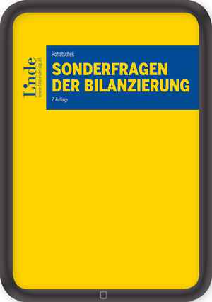 Sonderfragen der Bilanzierung