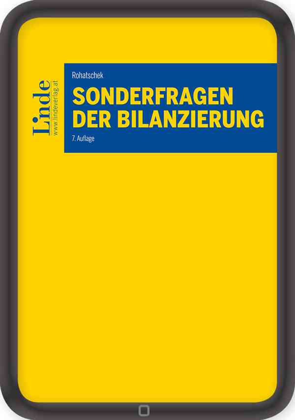 Sonderfragen der Bilanzierung