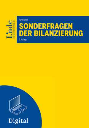 Sonderfragen der Bilanzierung