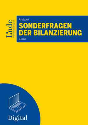 Sonderfragen der Bilanzierung