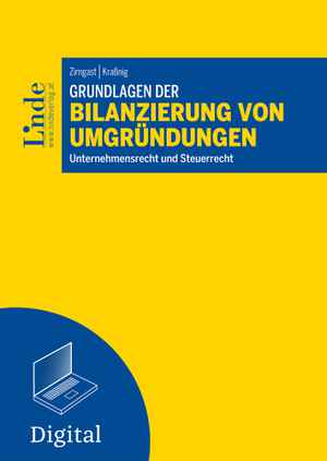 Grundlagen der Bilanzierung von Umgründungen