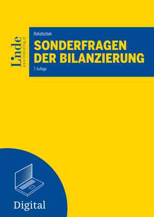 Sonderfragen der Bilanzierung