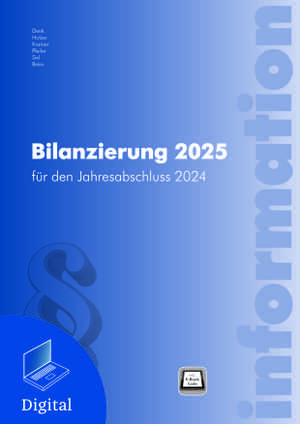 Bilanzierung 2025