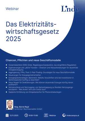 Das Elektrizitätswirtschaftsgesetz 2025