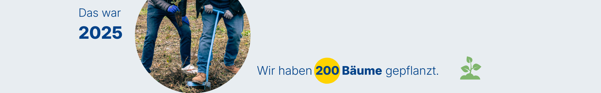 Wir haben 200 Bäume gepflanzt.
