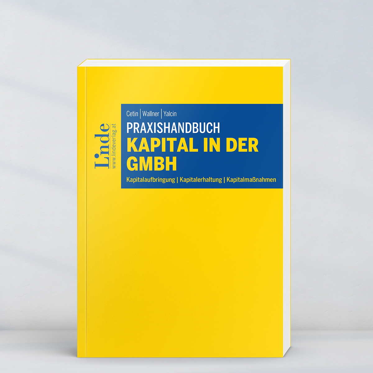Kapital in der GmbH: Praxishandbuch als Orientierungshilfe