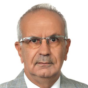 Prof. Dr. Haluk Sumer